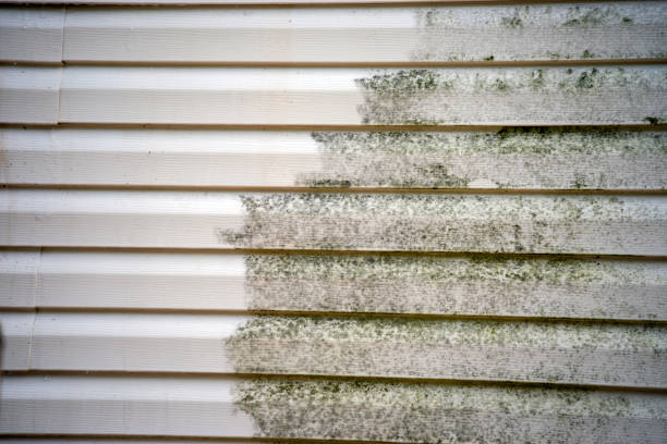 How To Choose The Right Materials for Your Siding Installation in 'Red Oak, NC